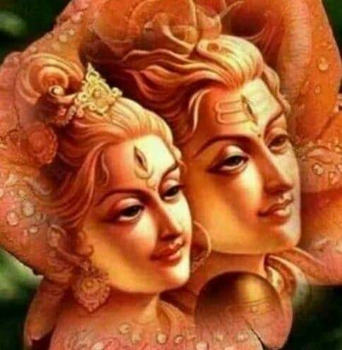 shiv