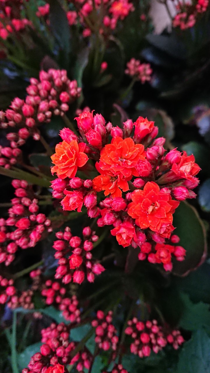 Spring Almost here ?
