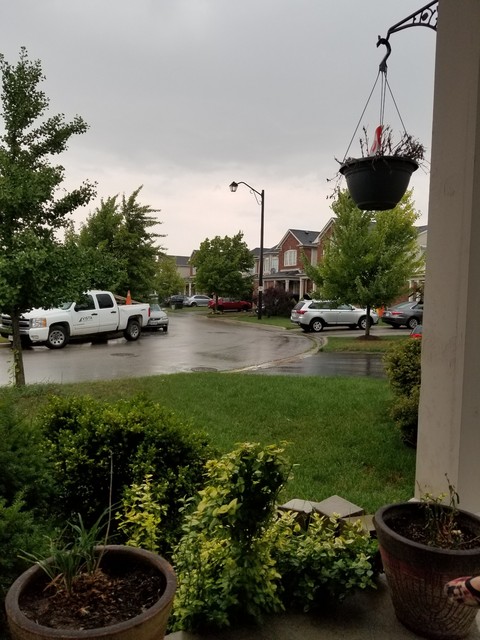 Rainy Day