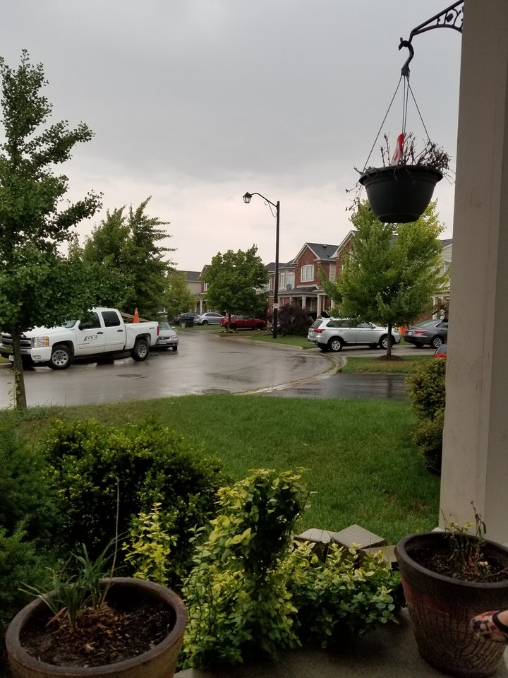 Rainy Day
