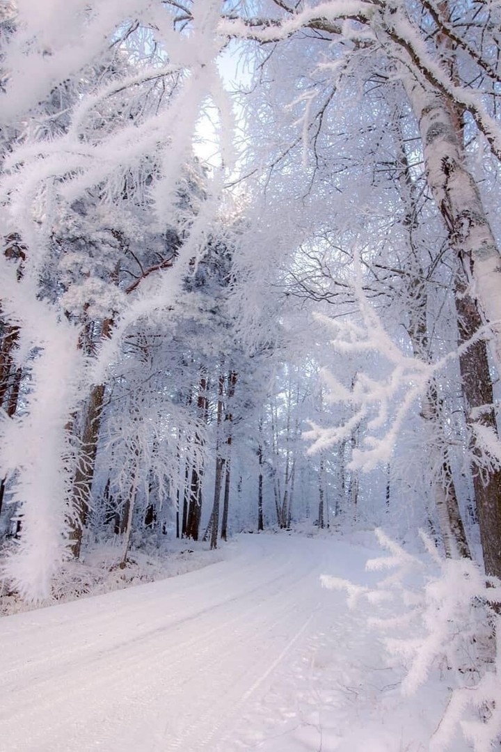 Winter