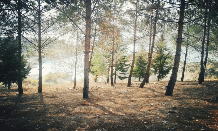 Fırat Nehri - Adıyaman