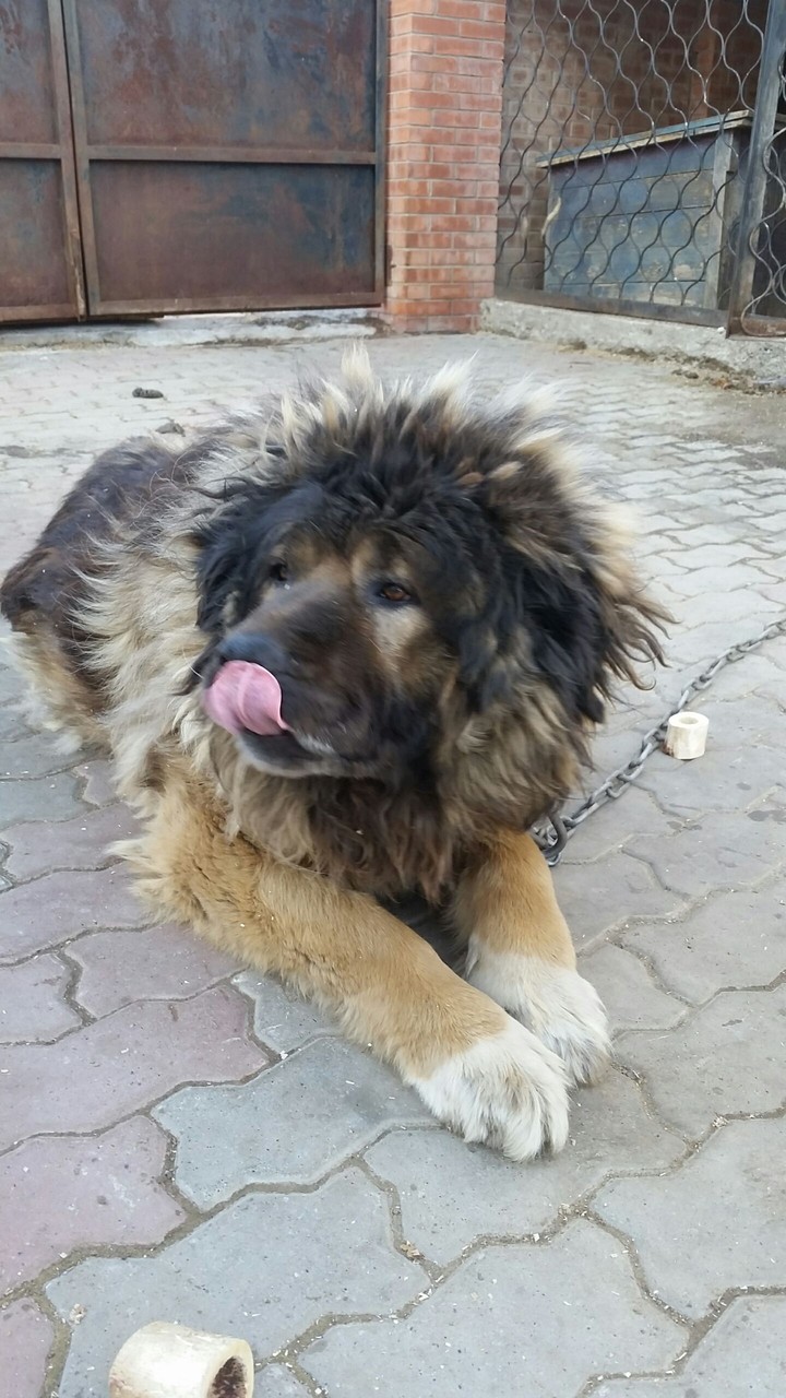 мой Агбар