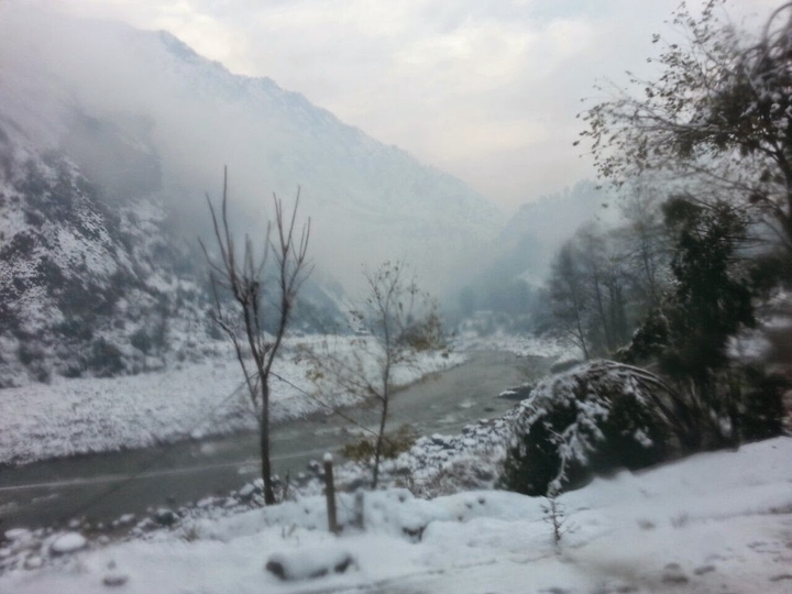 Snow Fall
