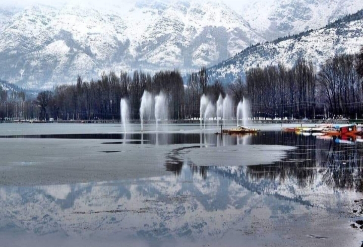 #dal#lake#sringar#kashmir#