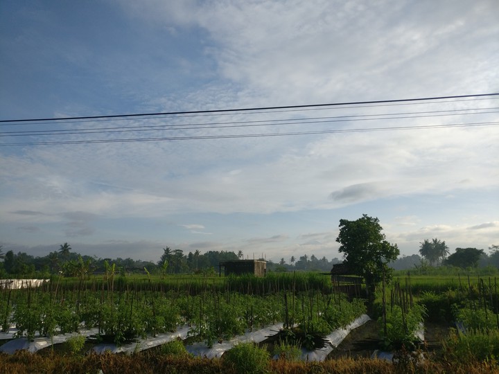 find mount merapi