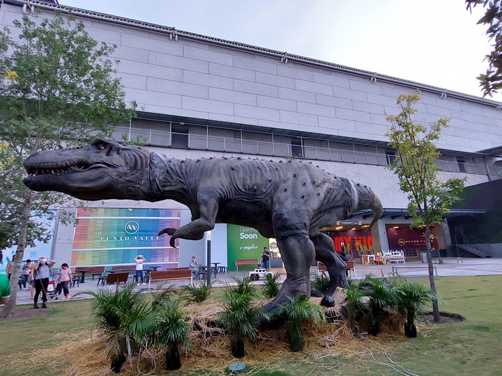 Trex punto valle Monterrey Nuevo León México