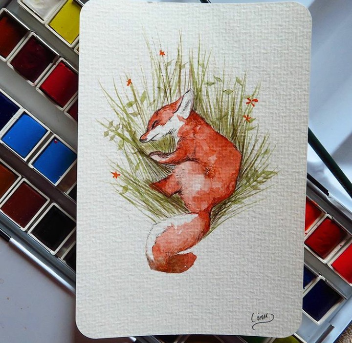 Fox