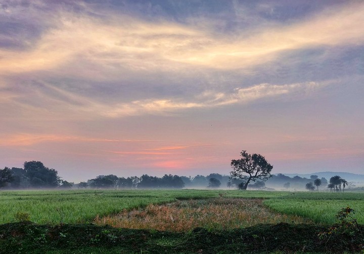 Early Morning view