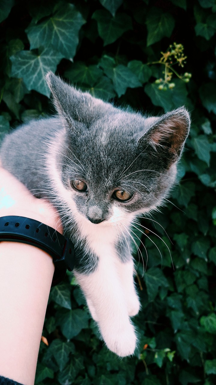 cuteee