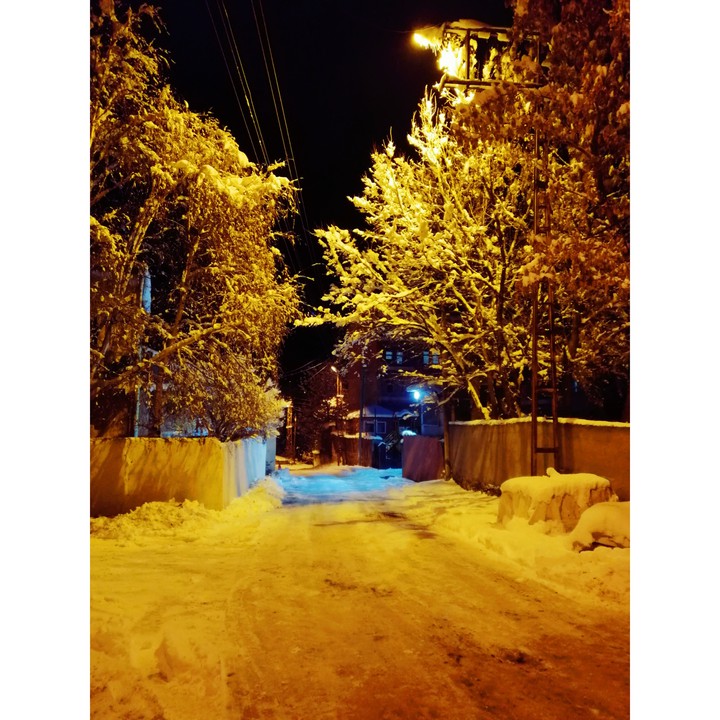 winter