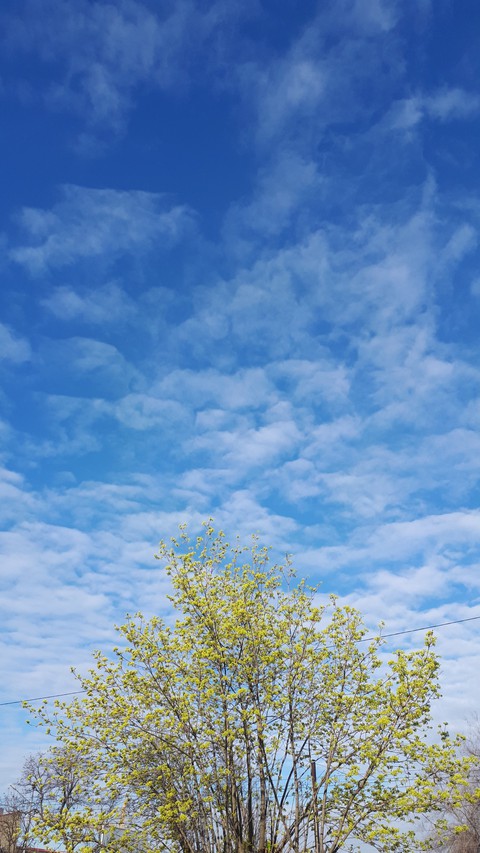 in the sky