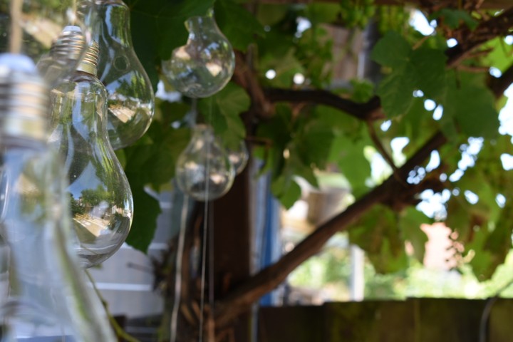 wine
