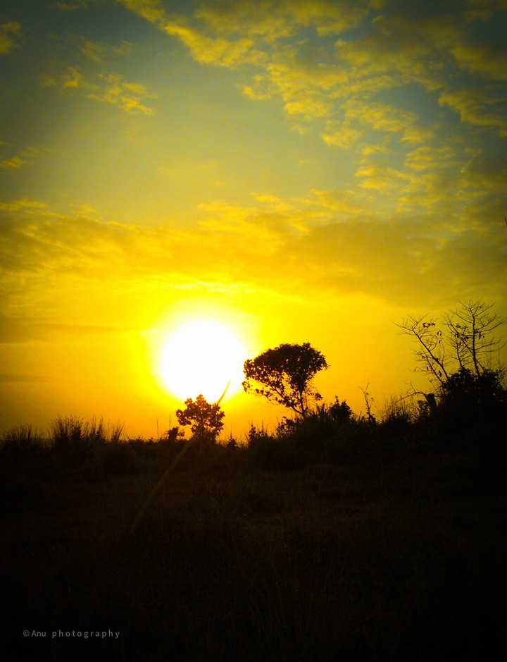 sunset
