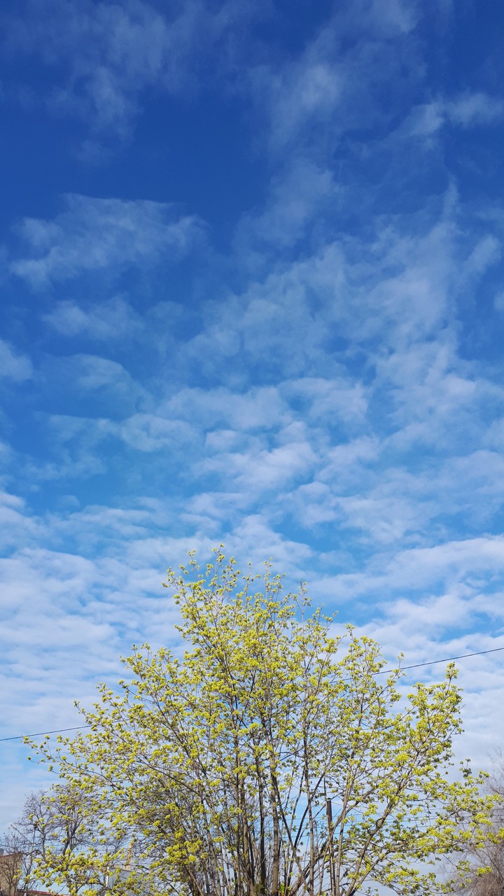 in the sky