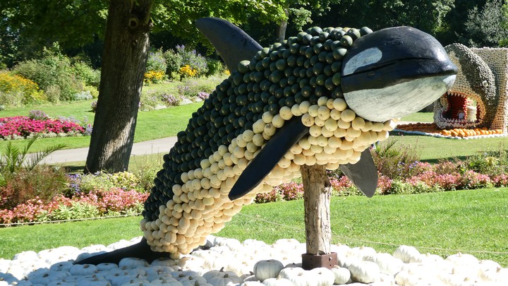 Kürbis Ausstellung Blühendes Barock Schloss Ludwigsburg 2021