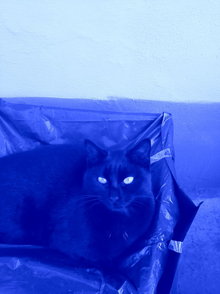 cloe