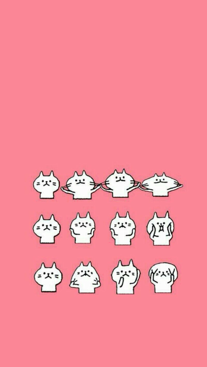 cute cat