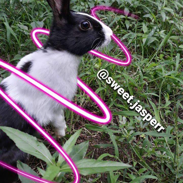 My bunny♡♡♡♡♡