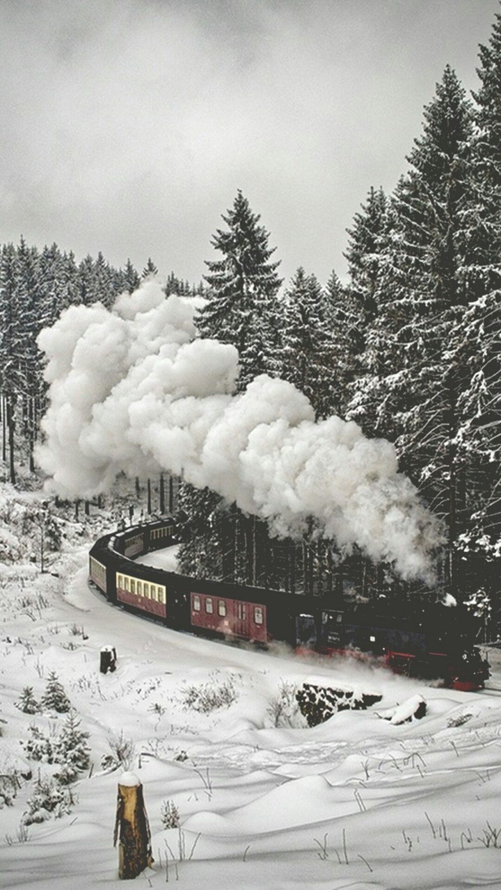 Locomotive
