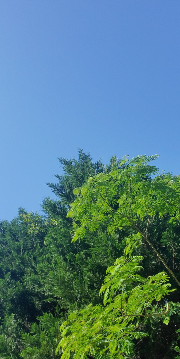 sunny day