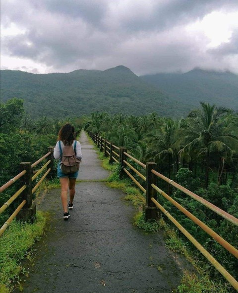 Tani