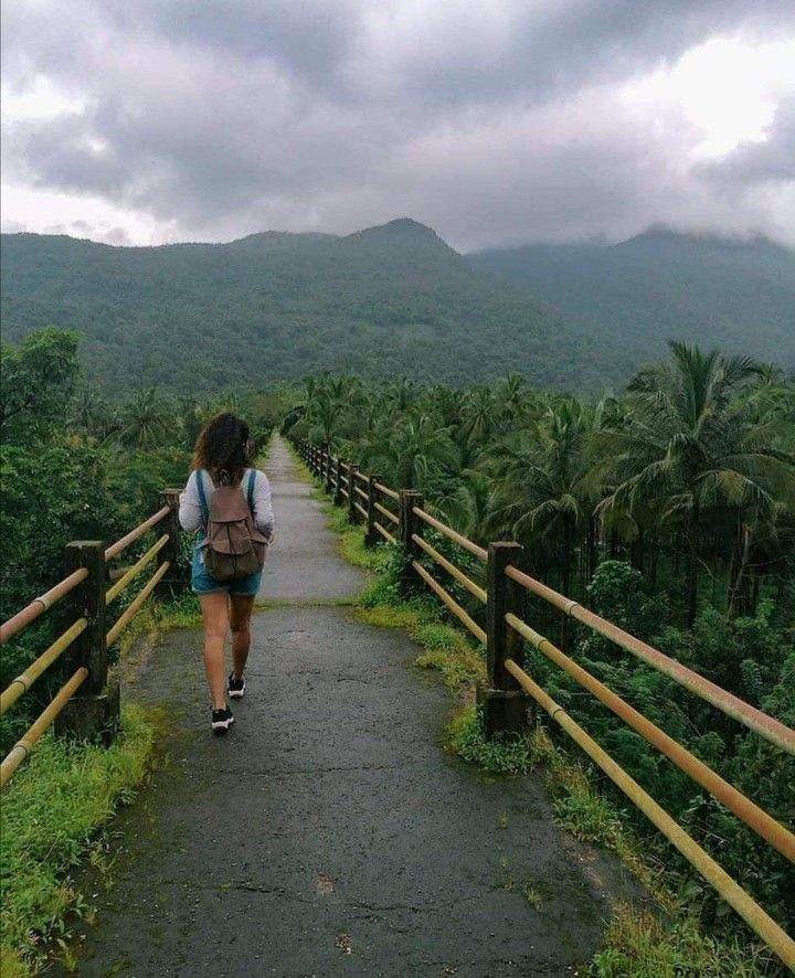 Tani