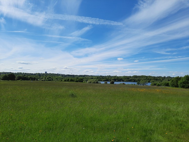 Park