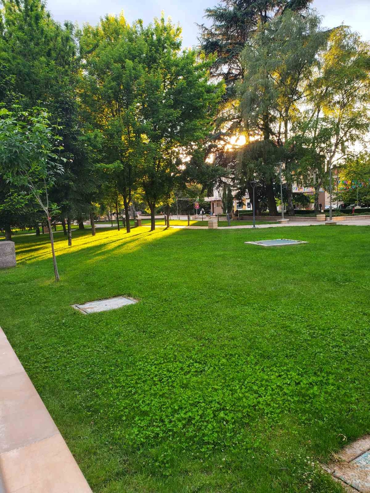 park
