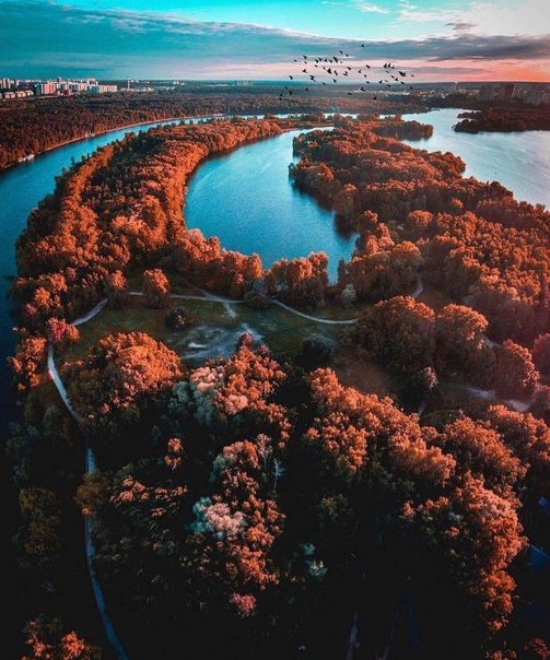 С высоты птичьего полета. Bird's eye view