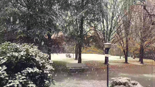 snowflakes