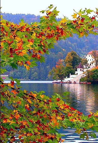 nature