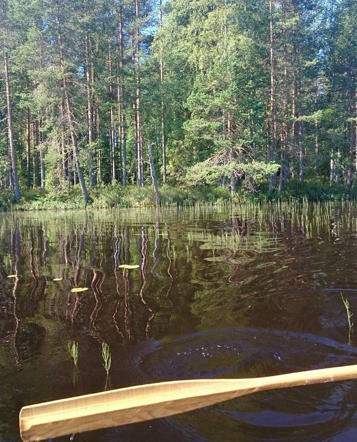 Rowboat adventure