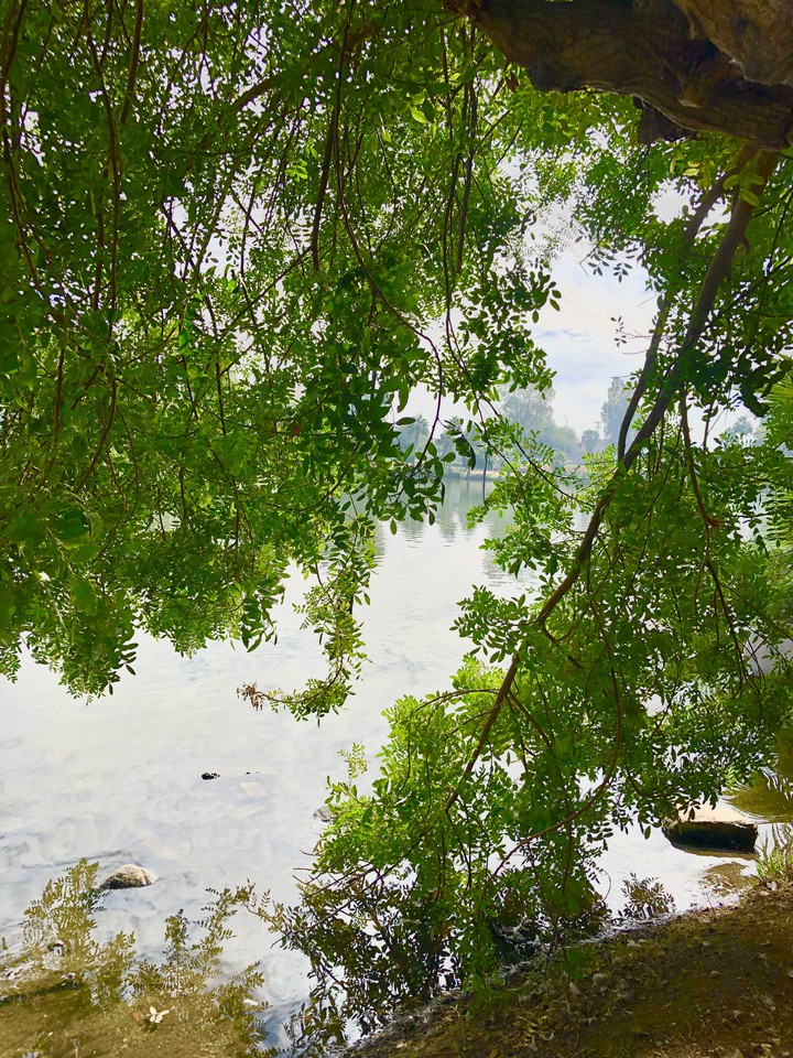 Lago del Bosque de la Ciudad