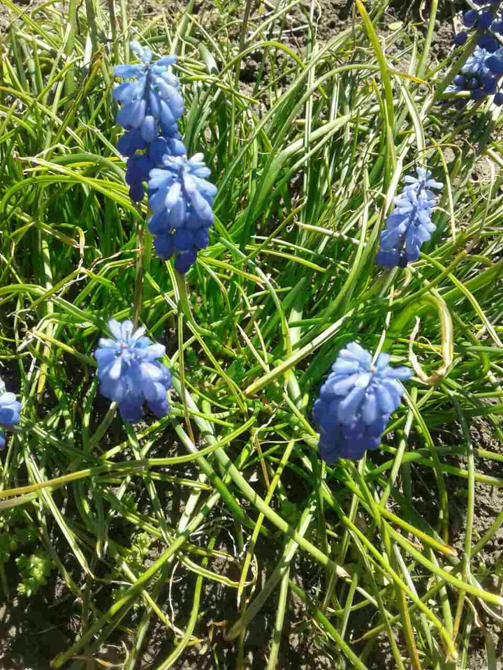 spring art