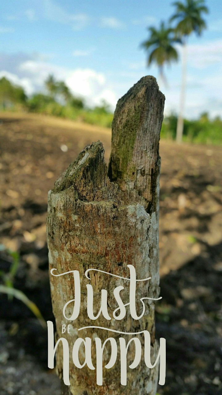 stick