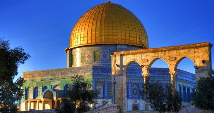 free palestine