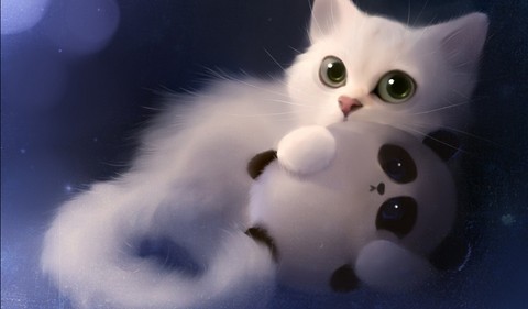 Cat and Panda