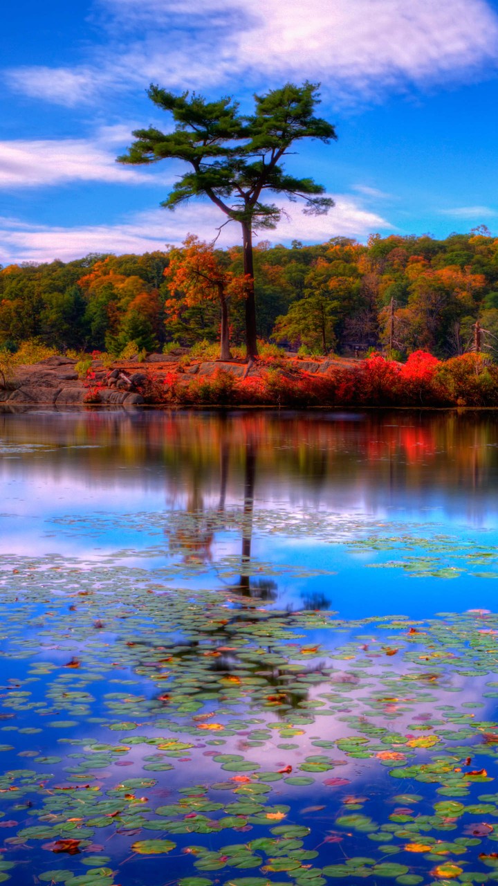 reflection.. odraz unclock