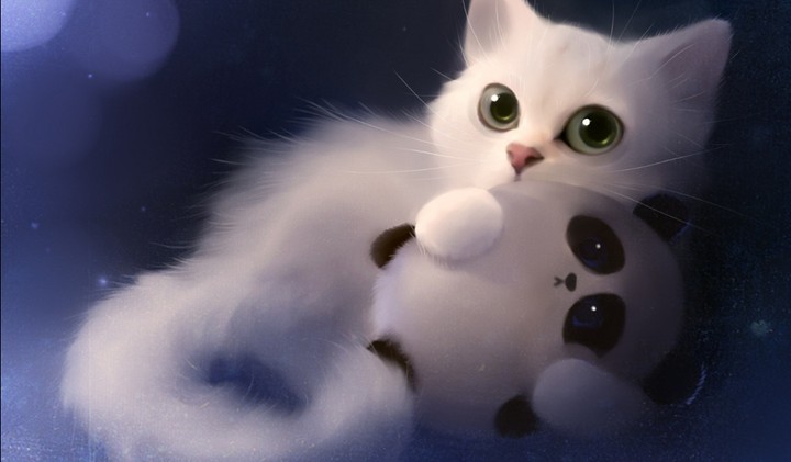Cat and Panda