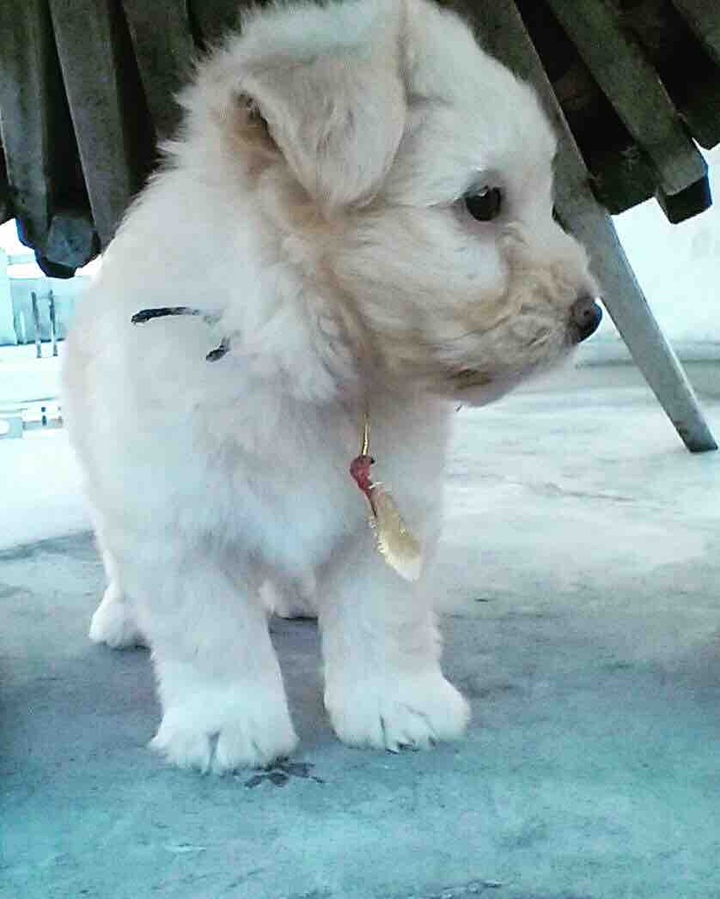 tinyminy
