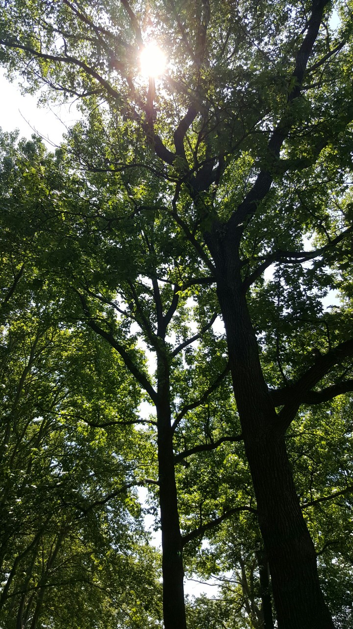 parque