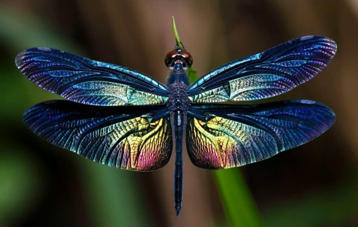beautiful