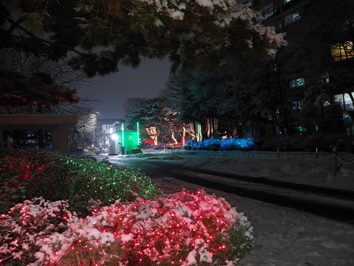 winter