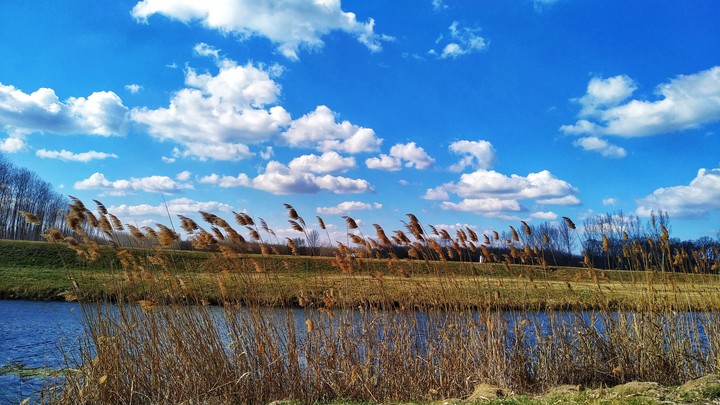 river
