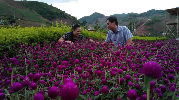 flower in vietnam