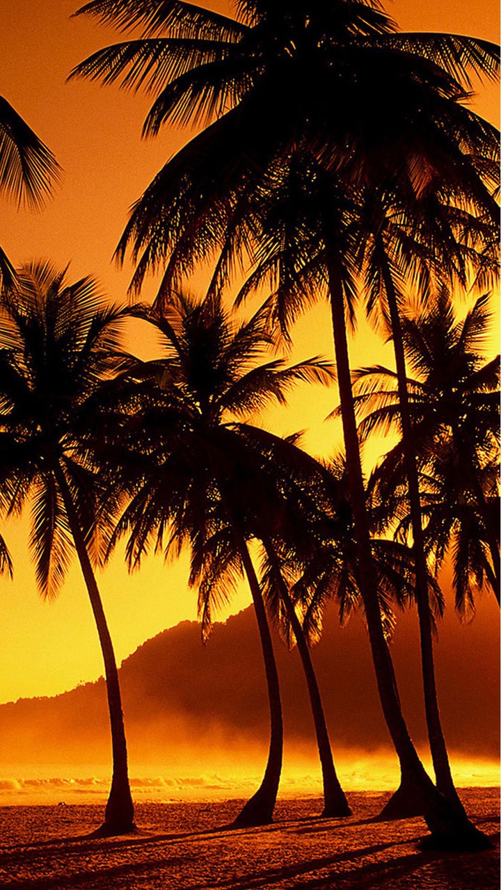 trees