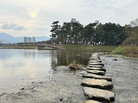 tree, watercourse háttérképek