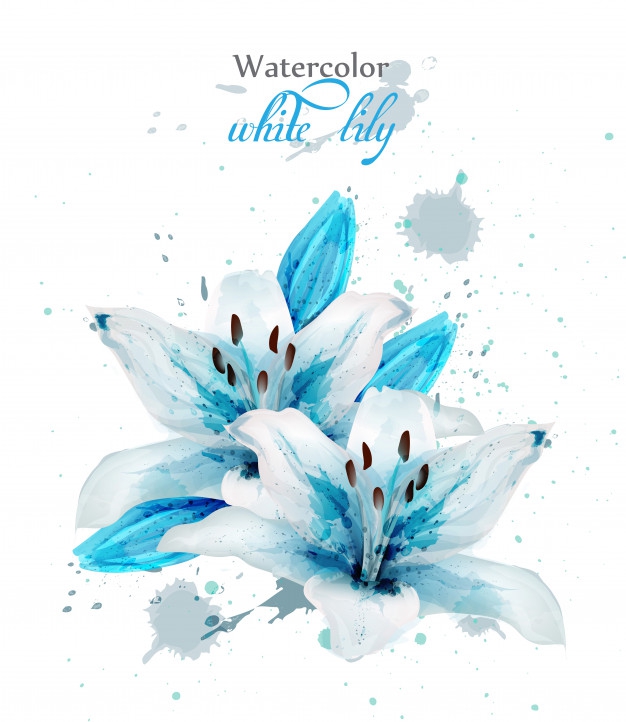 White lily