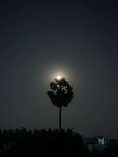 moon, dusk háttérképek